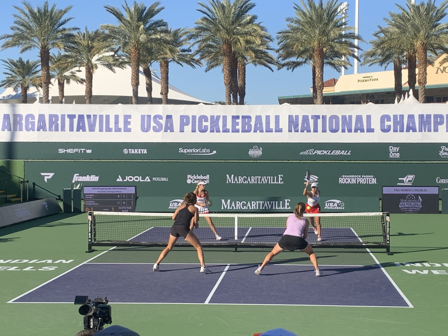 DUPR指定用網 C&D 專業匹克球網