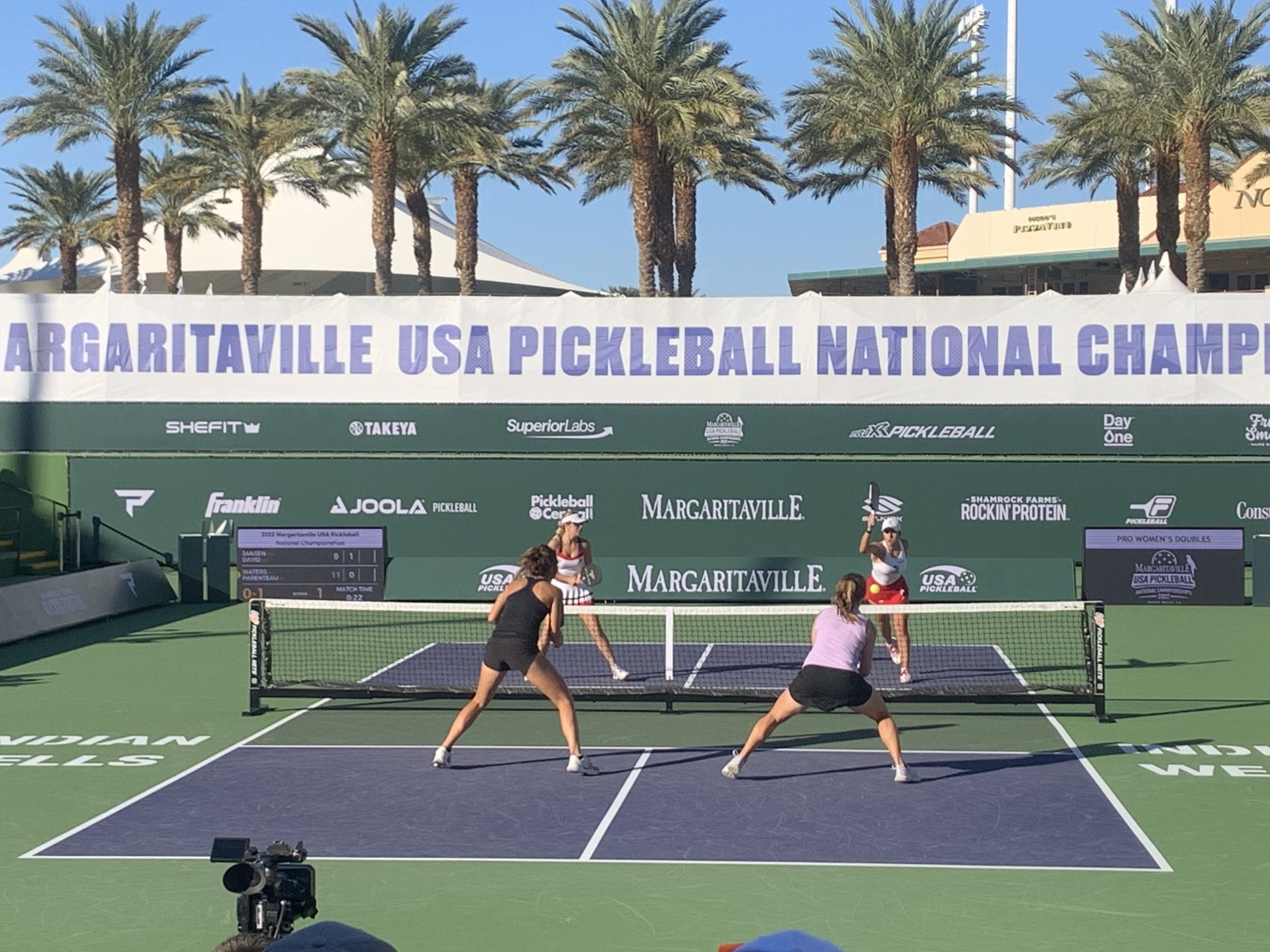 DUPR指定用網 C&D 專業匹克球網